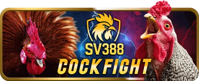 Quy tắc trò chơi và đặt cược công bằng tại play.789